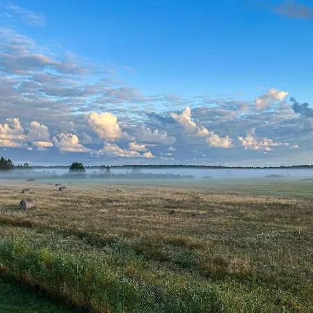 Dom wakacyjny Cozy In With Wifi *